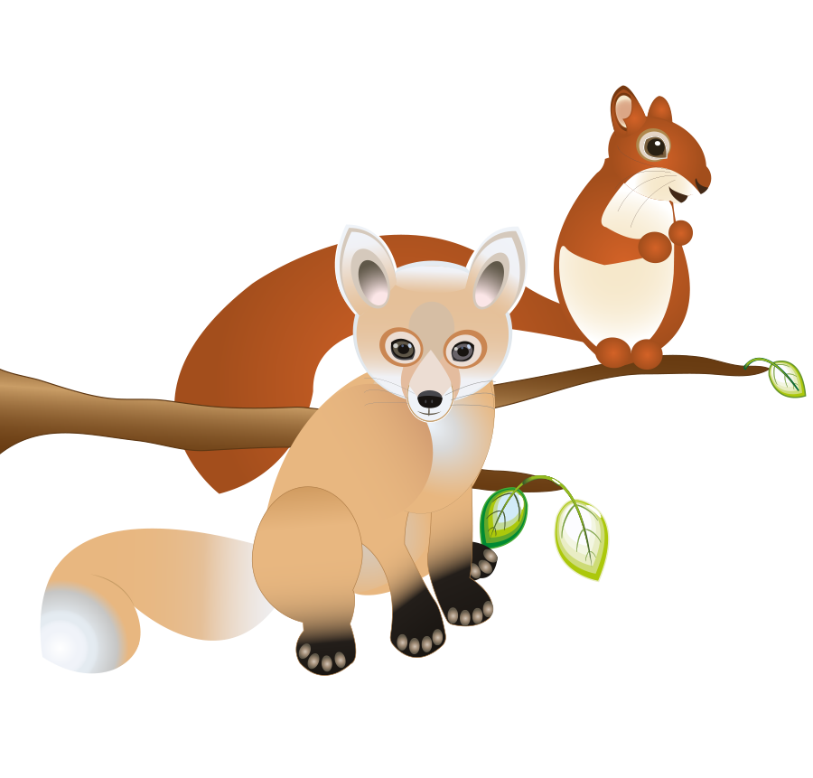dieren VF magneten