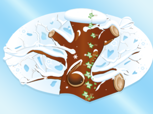winterkruin magneet met groeimeter