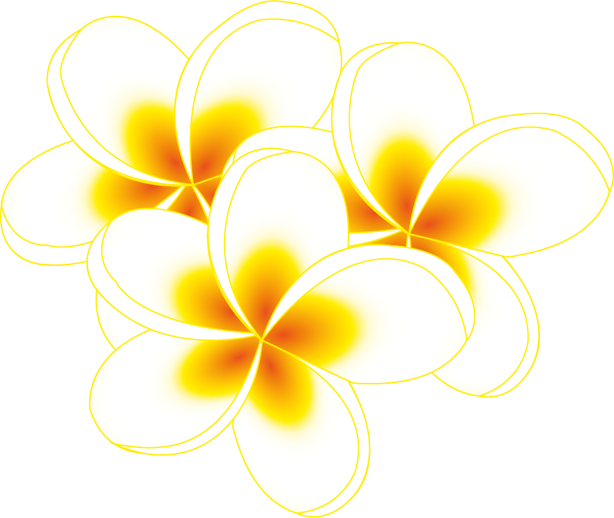 Magnetische frangipani of hawaibloem 150 mm